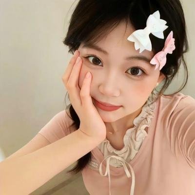 密探海芮:部落格大战